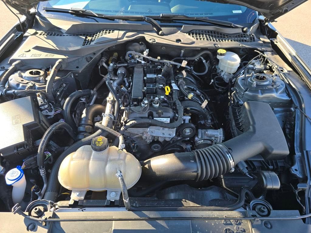 2021 Ford Mustang EcoBoost Fastback